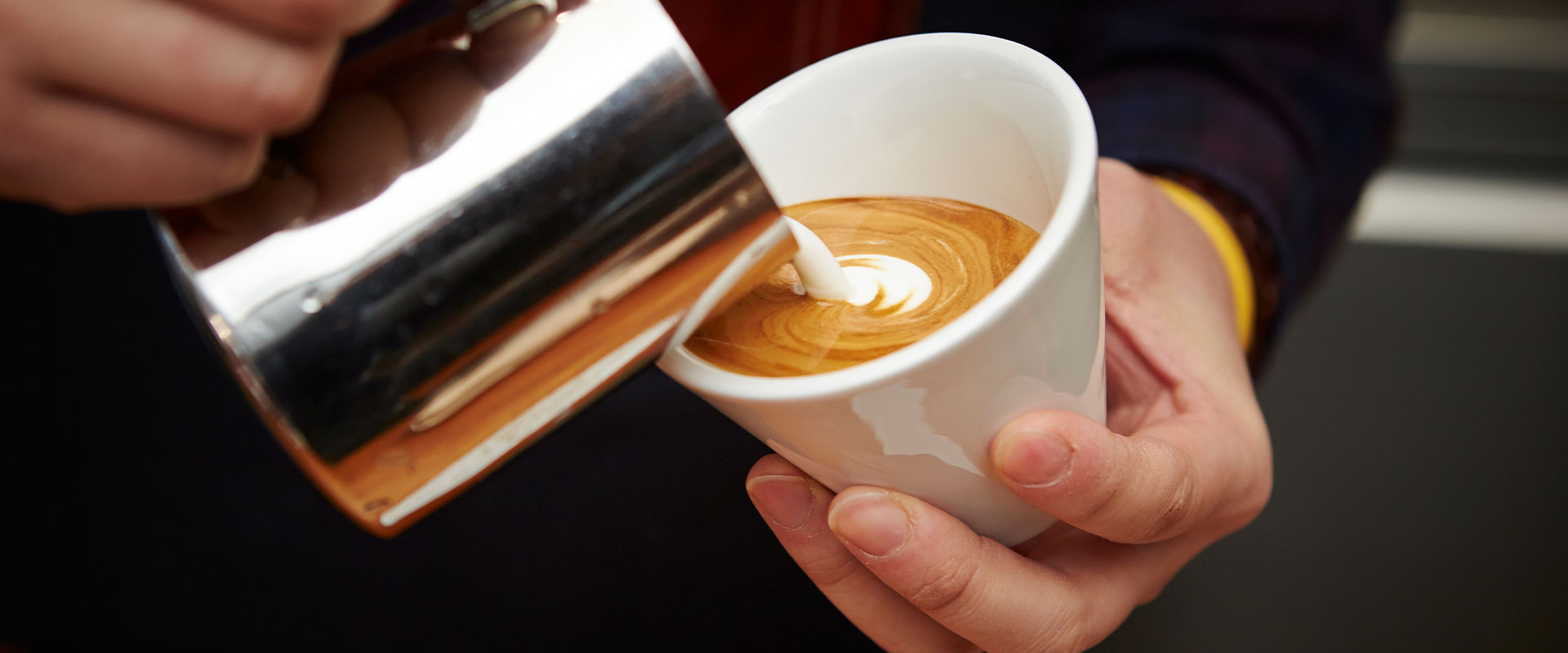 caffe per i bar milano haiti torrefazione