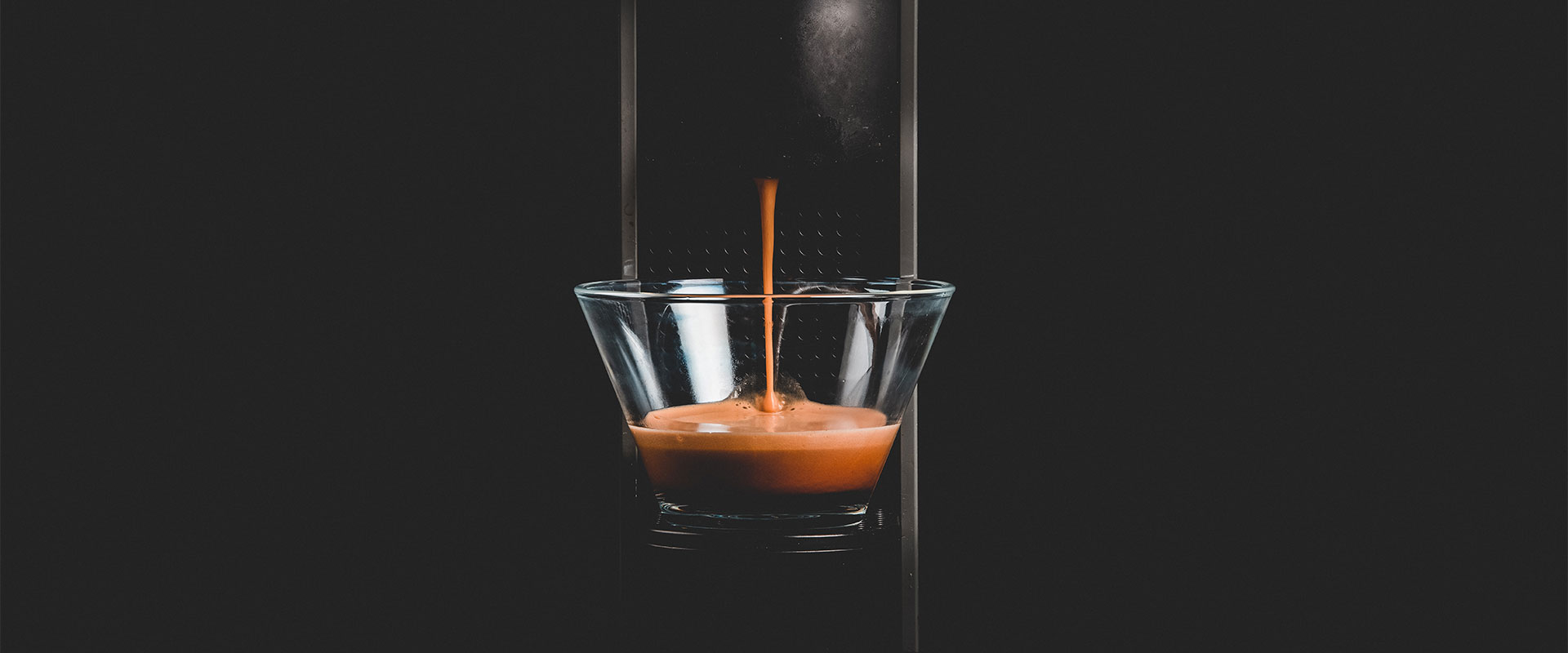 haiti torrefazione caffe milano
