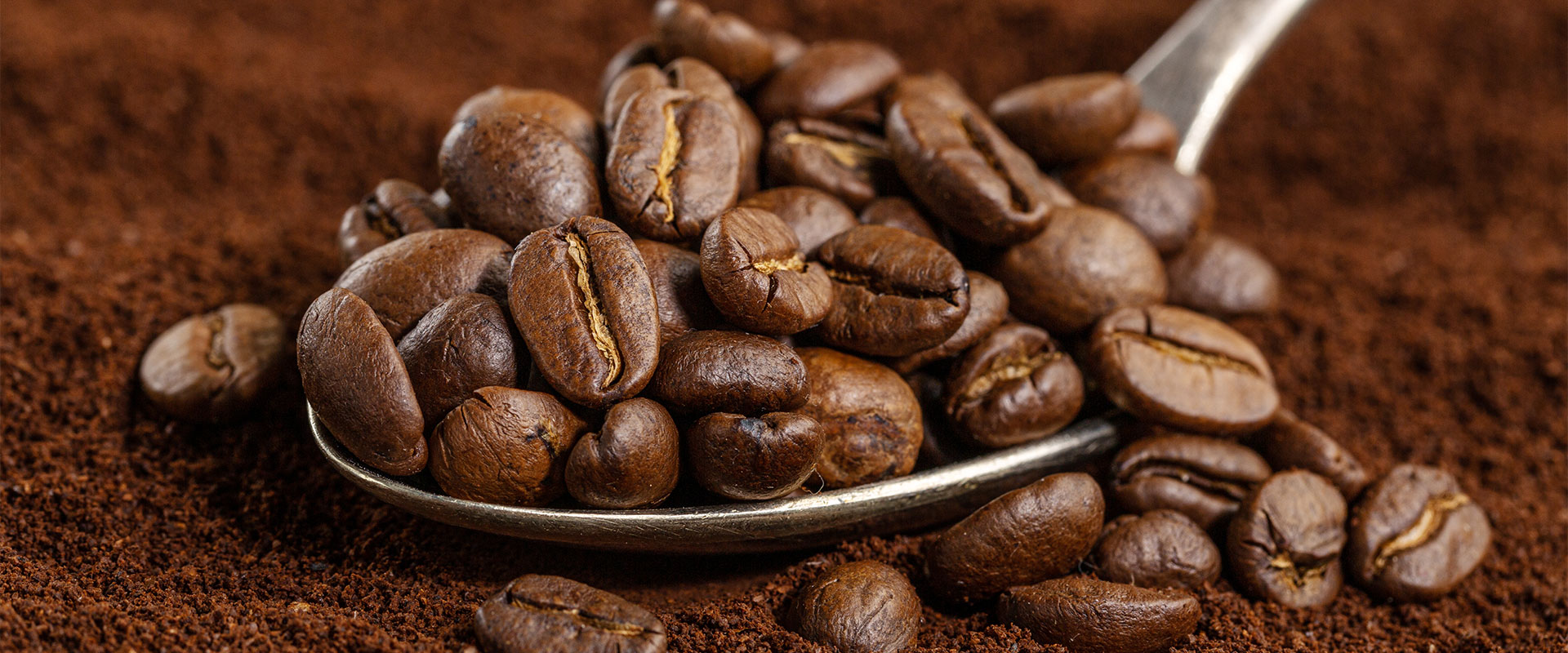 realizzazione caffe milano torrefazione haiti